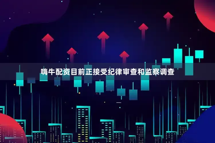 嗨牛配资目前正接受纪律审查和监察调查