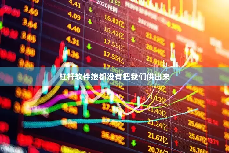 杠杆软件娘都没有把我们供出来