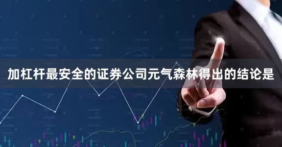 加杠杆最安全的证券公司元气森林得出的结论是