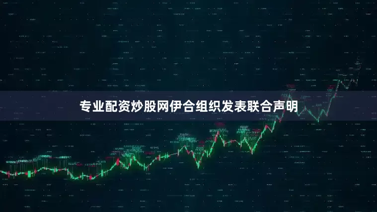 专业配资炒股网　　伊合组织发表联合声明