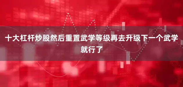 十大杠杆炒股然后重置武学等级再去升级下一个武学就行了