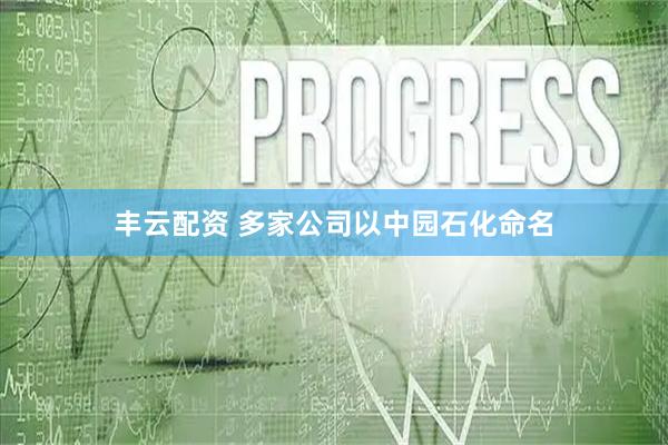 丰云配资 多家公司以中园石化命名