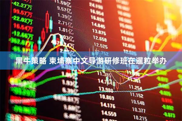 黑牛策略 柬埔寨中文导游研修班在暹粒举办