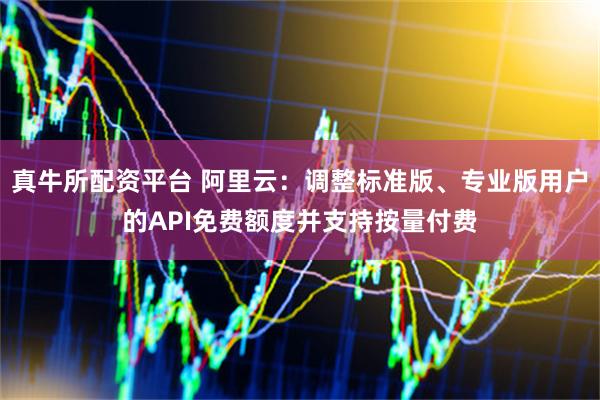 真牛所配资平台 阿里云：调整标准版、专业版用户的API免费额度并支持按量付费