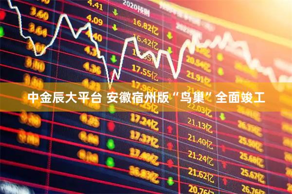 中金辰大平台 安徽宿州版“鸟巢”全面竣工